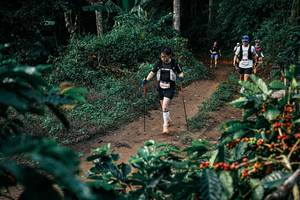 BIB: 
                            <button type="button" onclick="openModal(25843334)" class="btn btn-primary btn-sm float-right btn-popup" data-toggle="modal" data-target=".modal-high-quality">
                        <i class="fas fa-shopping-cart"></i> Add to Cart
                    </button>
                                            <button type="button" onclick="isThisMe(25843334, true)" class="btn btn-success btn-sm float-right btn-popup btn-isme hidden" data-toggle="tooltip" data-placement="bottom" title="นี่คือรูปของคุณใช่ไหม คลิกที่นี่เพื่อเอาเข้าอัลบั้ม">
                        <i class="fas fa-plus"></i> Add to album
                    </button>
                    <button type="button" onclick="isThisMe(25843334, false)" class="btn btn-warning btn-sm float-right btn-popup btn-isnotme hidden">
                        <i class="fas fa-ban"></i> Remove from album
                    </button>